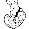 ThisStraya's profile picture. ‘This is Straya’ on FB, YouTube, Christian, meat eating, gun owning, prolife,Australian AND country!