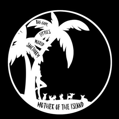 Mother of the island - BGLWS https://t.co/WwarDnlVBf https://t.co/nGL4jVjlVh