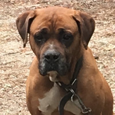 ATglRLiKdJPO9uX's profile picture.