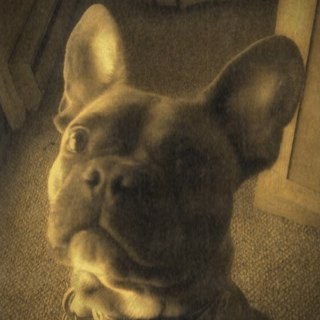 Jesica_negrelli's profile picture. 