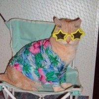 Max (@maxpoopydumdum) 's Twitter Profile