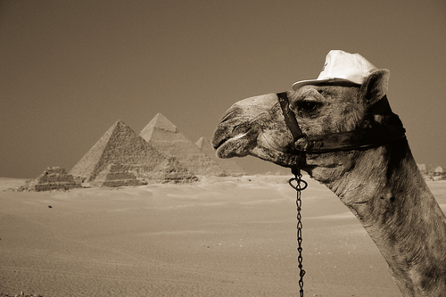 OK704's profile picture. 埼玉：新座志木 ◎サッカー・フットサル・ストリートダンス・旅行 ◎ダンス&ヨガスタジオ運営 ( Studio-Kou新座志木 )◎イベント企画運営 ( Familia ) ( 1on1Football Freak )