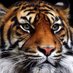 Blanca Ruiz Esteban (@blancamarinas) Twitter profile photo Blanca Ruiz Esteban (@blancamarinas) Twitter profile photo