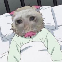 popindie (@minikuiasmr) 's Twitter Profile