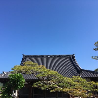 当山での出来事や住職の日々の一言を配信します。[Facebook]https://t.co/fhiloy3HTD 
[Instagram]https://t.co/KSqRm4Hiax