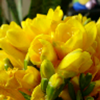 미정 (@jeong54) 's Twitter Profile