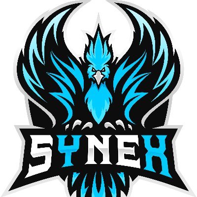 sYneX80 Profile Picture