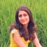 nadia_am4's profile picture. Developer