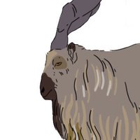 Luke Wildwoodsgames (@wildwoodsgames) Twitter profile photo