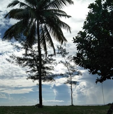 twetwie's profile picture. What makes you different just might be your great strength