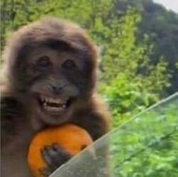 milanesaurio_'s profile picture. Buenos Aires

🇦🇷 🇮🇹