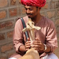 Dr. Tridibesh Dey (@treeonplastics) 's Twitter Profile