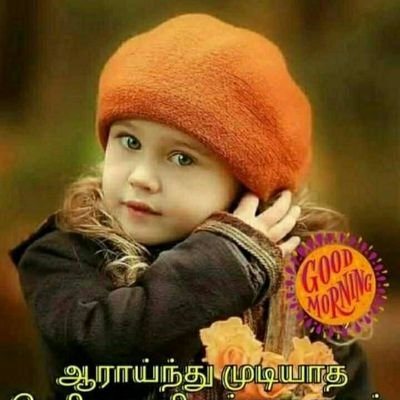 antpnyraj's profile picture. 3/3/1977