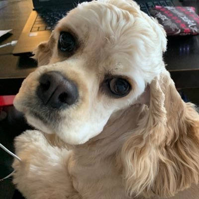 41Kaorigowgow's profile picture. サッカー⚽（コンサドーレ札幌，日テレベレーザ、日本代表），ラグビー🏉、TEAM NACS、ロックバンドとジャニーズが大好き。 中3の娘と中1の息子のサッカーをのんびりと応援してます。嵐担💙SixTONES担❤💎💛セクゾ担💜