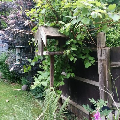 JanetMu16841897's profile picture. 17th August 1942