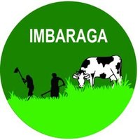Rwanda Farmers Organization "IMBARAGA " (@imbaragao) 's Twitter Profile