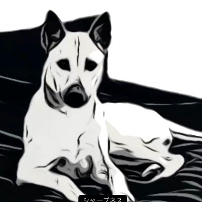 ぱせり 後ろ足に狼爪を持っている犬をベトナムでは割と見かける 職場の警備員のおっちゃんが飼っている犬 4ヶ月齢 狼爪 ぱせり 後ろ足に狼爪を持っている犬をベトナムでは割と見かける 職場の警備員のおっちゃんが飼っている犬 4ヶ月齢 狼爪