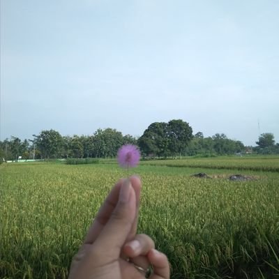 monocroum's profile picture. tidak usah jadi ELF dari awal, cukup jadi ELF sampai akhir💙