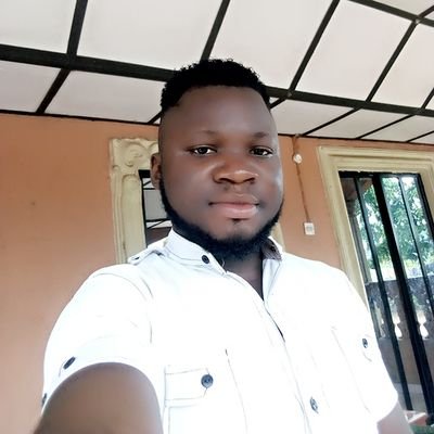 System Analyst (Passionate web developer), CCTV installer, FOREX trader and graphics designer.