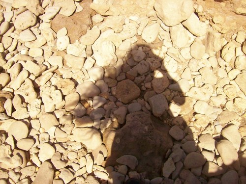 FlorciTsAs11's profile picture. Estudiante de abogacia, apasionada de la fotografía, muy cholula, entre otras cosas jaja