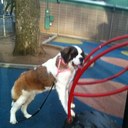 Dorothy Forrest - @DorothyForrest9 - Twitter