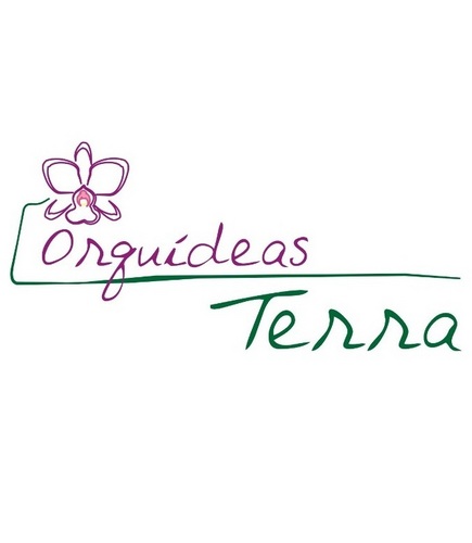 Orquídeas Terra é especializado na produção e comecialização de seedlings e divisões de matrizes da mais alta qualidade.