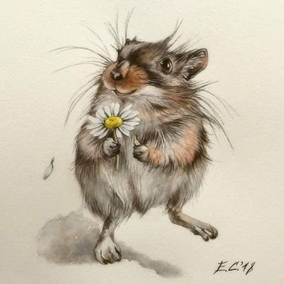 Jan32168510's profile picture. 