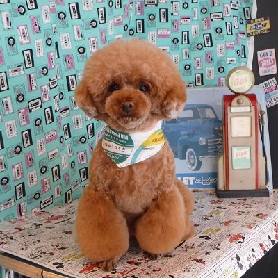 mguraju's profile picture. 成功する人間とそうでない人の差って
平等にあるチャンスを見つけた時に、
一歩踏み出すか、疑って踏み出さずに
チャンスを逃すかに限ると思うんですよね。。

今、このプロフを見つけれたあなたは、後は行動するだけじゃないかなー？
連絡待ってますね！

ブログ
https://t.co/lRrJ8mBL6f