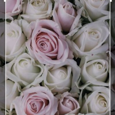 Donniegirl70's profile picture. 