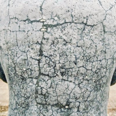 debriskent's profile picture. cities, sound, demolitions, diversions • retweets and lurking, mainly (I have no original thoughts)