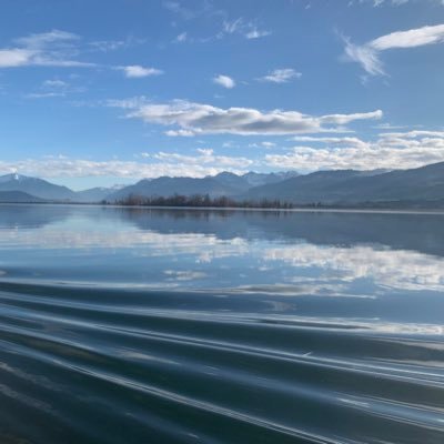 Mother of 2 little kids, Bitcoiner, living in Switzerland 🇨🇭