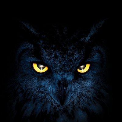 baykusacisiblog's profile picture. #Blog #Blogger #KisiselBlog