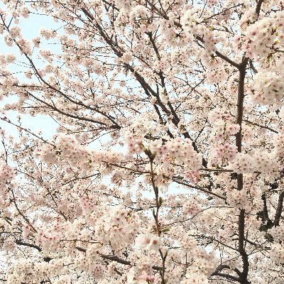 シャトルさんのプロフィール画像