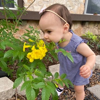 kimc1614's profile picture. laws of the land still remain