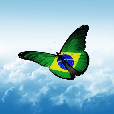 CleideM33092512's profile picture. 
