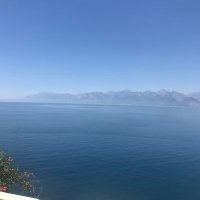 GOLD TÜRK (@goldtrk1) 's Twitter Profile