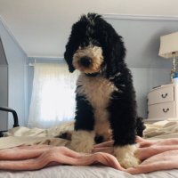 Jon (@domerdouglas) 's Twitter Profile