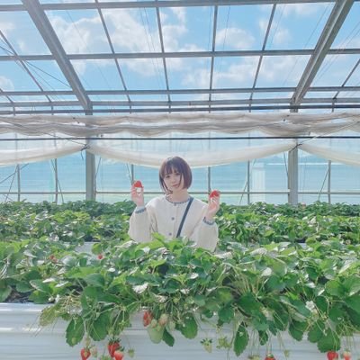 fujimon_star_'s profile picture. 