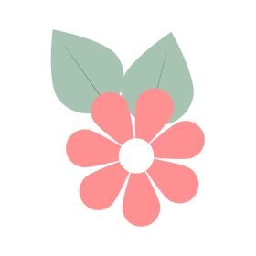 Easy to use Free and Premium WordPress Themes