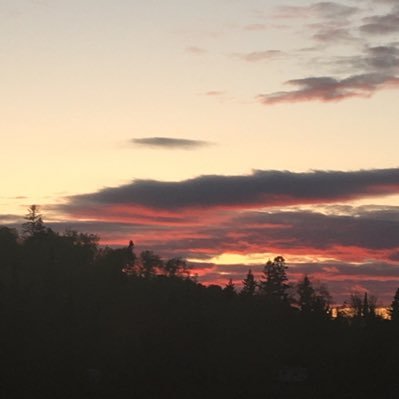 MamaMina8's profile picture. I ❤️Jesus, my family, friends, food, & the Bruins