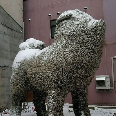 MR_foreverFW16's profile picture. 東北楽天。絶対に忘れないFM PORT。ﾗｼﾞｵ大好き。BSNﾖｼﾞｮｳﾊﾅｰ・ﾏｴｶﾌﾞﾅｶｼｽﾞｶ主任など。ﾅｳﾔﾝ同盟。6326番DC。NGT、Negicco、実郁ちゃん、AKB、乃木坂、SKE・なっきい、仮面女子・夕佳ちゃん、KUNO1推し。忍者となり姫とくノ一にお仕えしたい！大好きな新潟に移住したい！