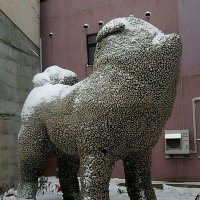 マレン・ローズ💎🐐🍀 (@mr_foreverfw16) 's Twitter Profile