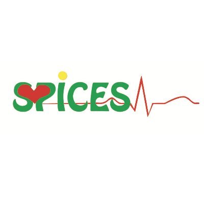 @SPICESSussex