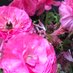 WestEndWoman (@westendwomanw1) Twitter profile photo WestEndWoman (@westendwomanw1) Twitter profile photo