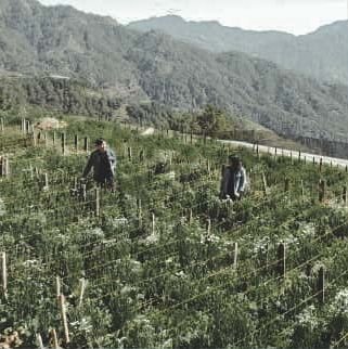 LloydKhalii's profile picture. Engineer ¦ Parallel lines never meet.