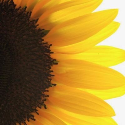 kristin9989's profile picture. HairStylist :)