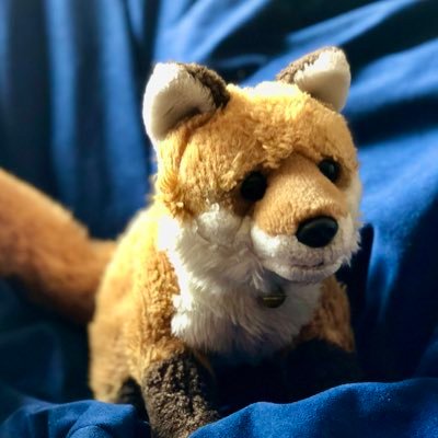 Süßer Fuchs. @TiiFuchs passt auf mich auf und gibt mir ein Zuhause.