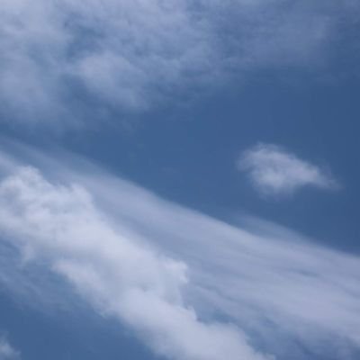 ncnssd's profile picture. เอายังไงกับชีวิตดี
🦄