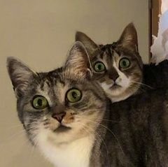 lambdanotfound's profile picture. 