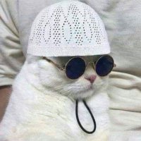 معصوم بِلّا (@mukhlisinsan) 's Twitter Profile Photo